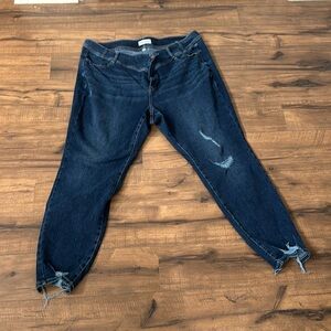 Lane Bryant jeans
